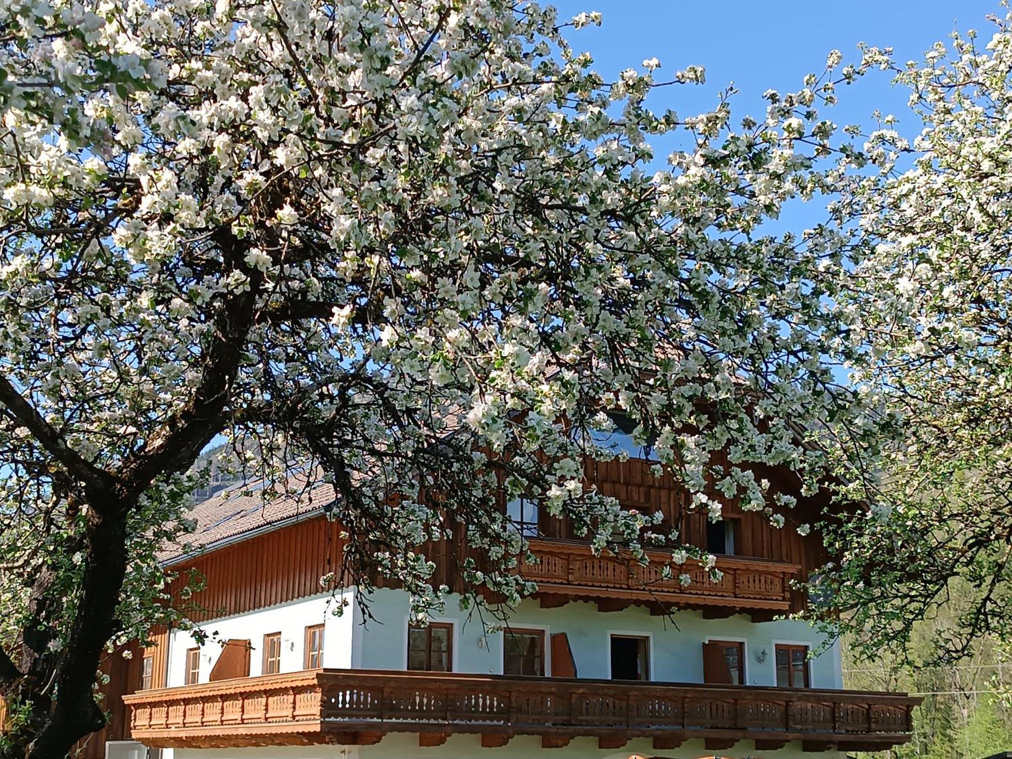Апартаменти Hintererhof Гінтерзе Екстер'єр фото