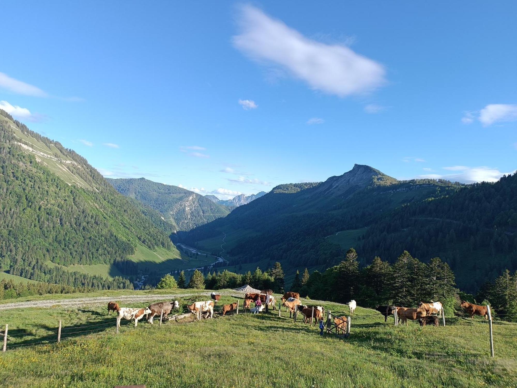 Апартаменти Hintererhof Гінтерзе Екстер'єр фото